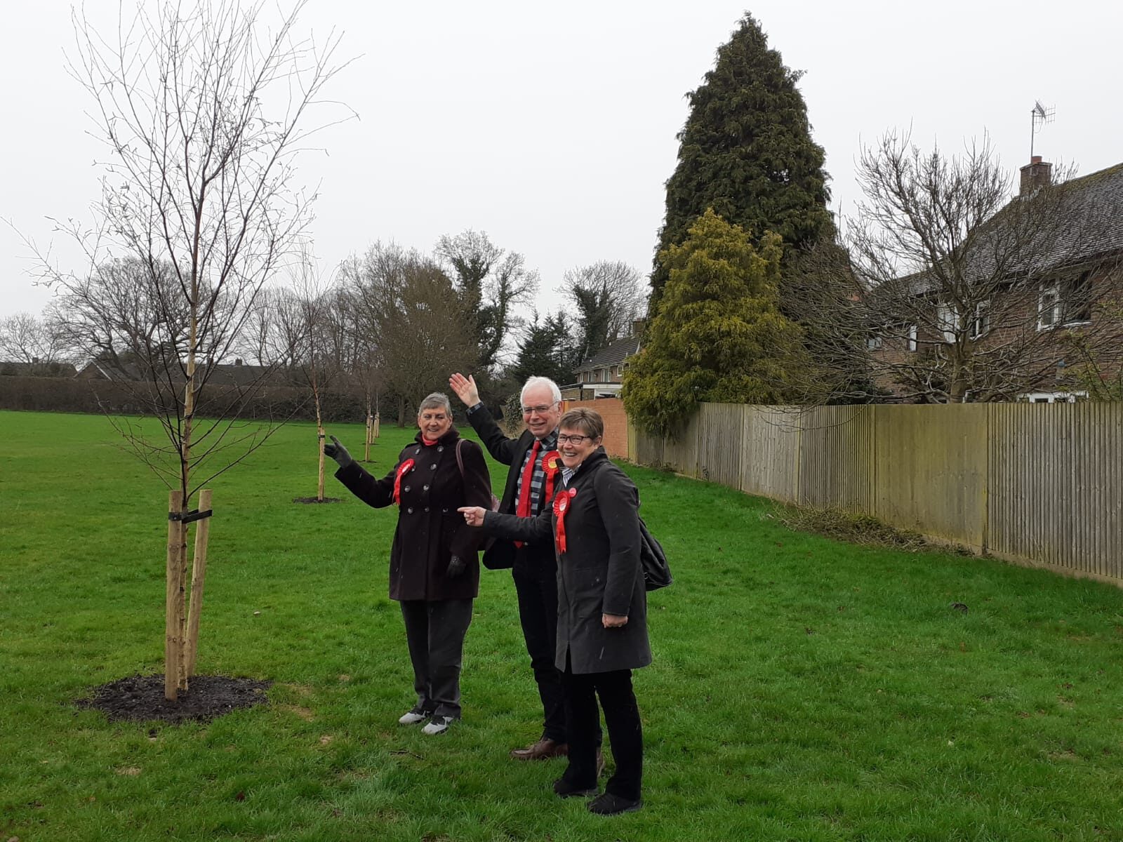 Five new trees